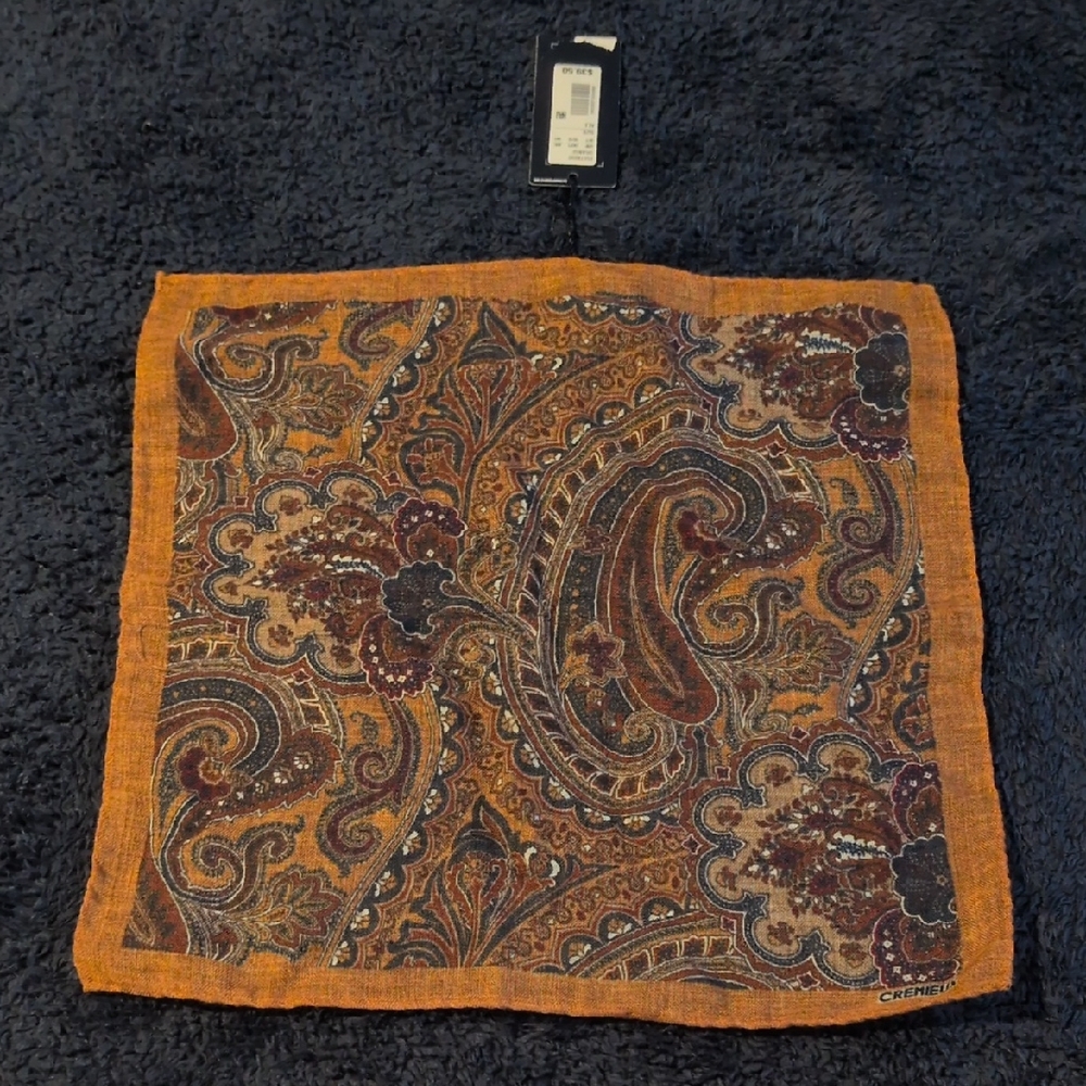 Daniel Cremieux Orange and Brown Paisley Pocket Square